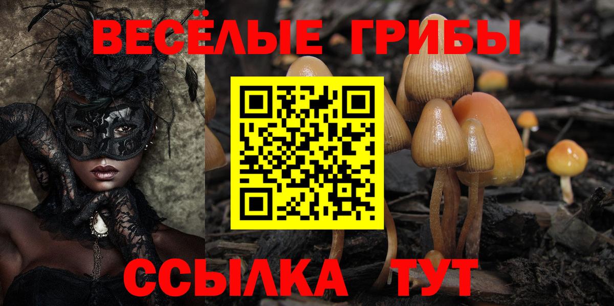 хочу   Вход с VPN  Северобайкальск  Псилоцибиновые грибы GOLDEN TEACHER 