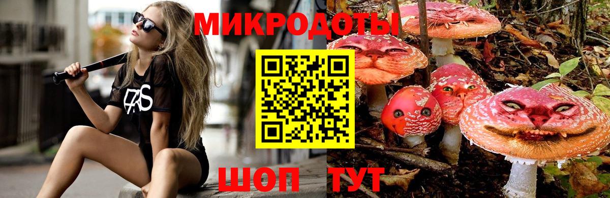 Галлюциногенные грибы мухоморы Северобайкальск
