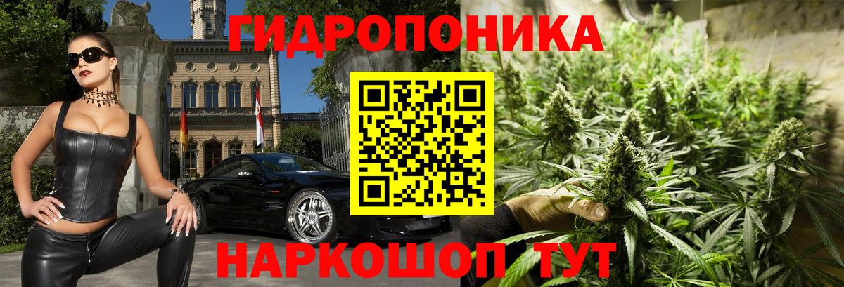 Канабис Bruce Banner Северобайкальск